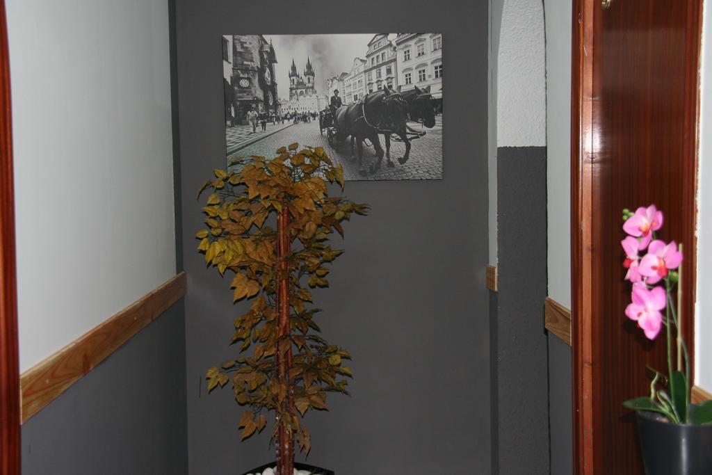 Hostal Restaurante Avenida De Madrid Терраса Экстерьер фото