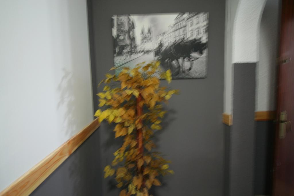 Hostal Restaurante Avenida De Madrid Терраса Экстерьер фото
